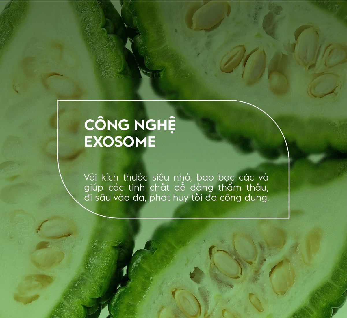 Ưu đãi đặc biệt mỹ phẩm Facesmooth